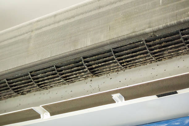 Best Air Duct Sanitizing Services  in Wlow Springs, IL